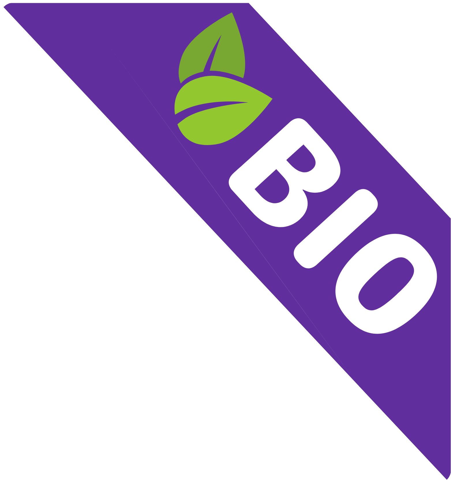 facsetta bio